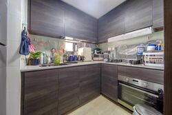 Sims Urban Oasis (D14), Condominium #500321631